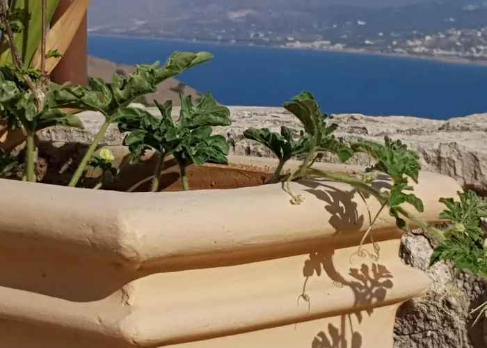Jasmine - Morfi Village